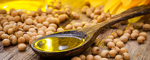Soybean and oilseeds