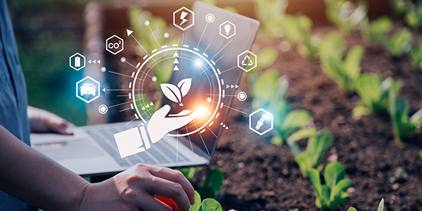 Sustainable agriculture and crop quality
