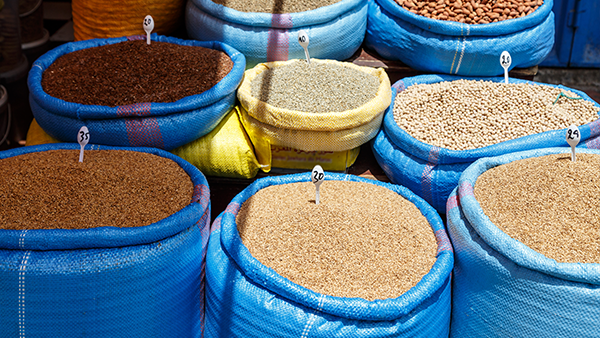 Agro commodities sourced for global markets