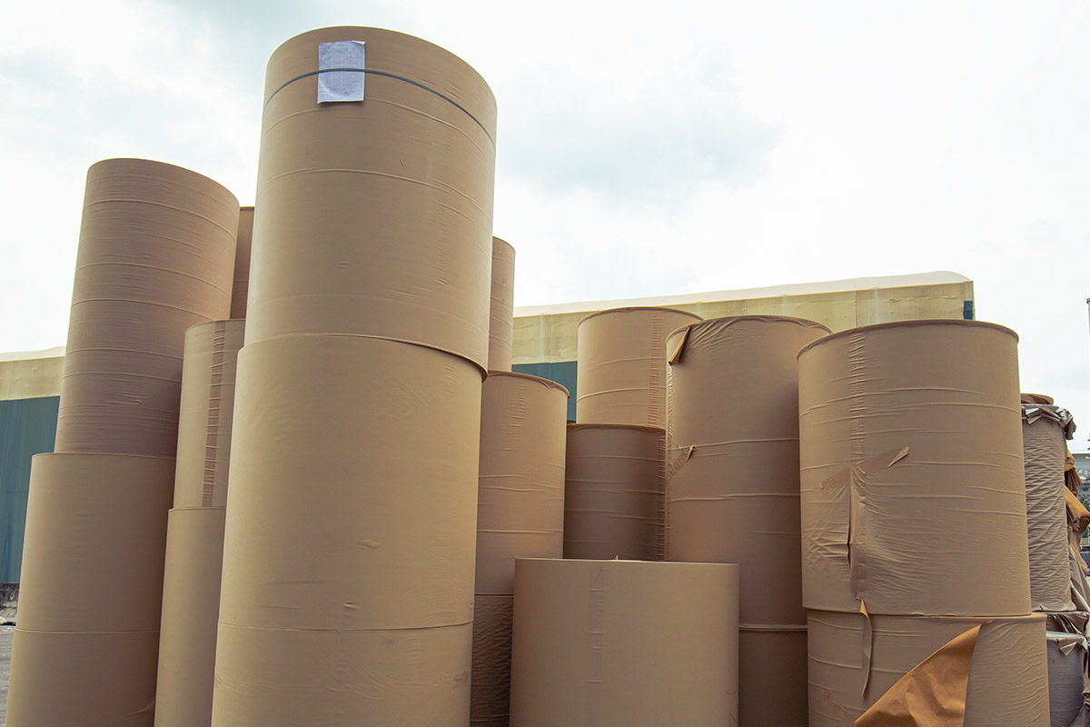 Paper rolls for packaging and industrial use